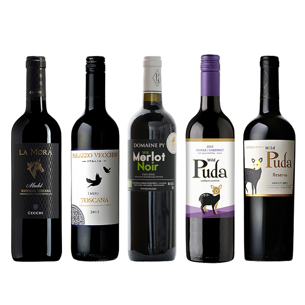 金賞入り! メルロー飲み比べ 5本セット